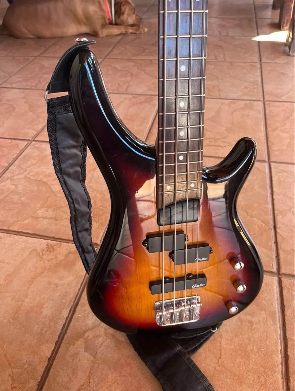 Baixo Condor Bx12
