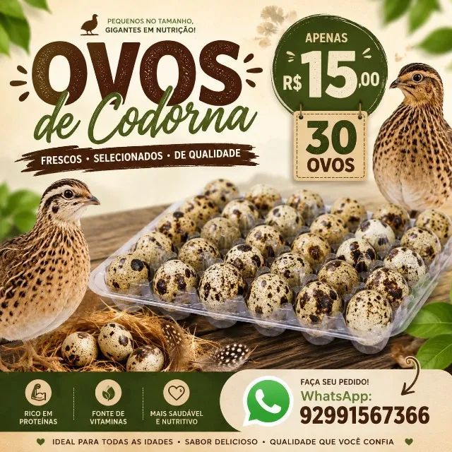 ovos de codornas