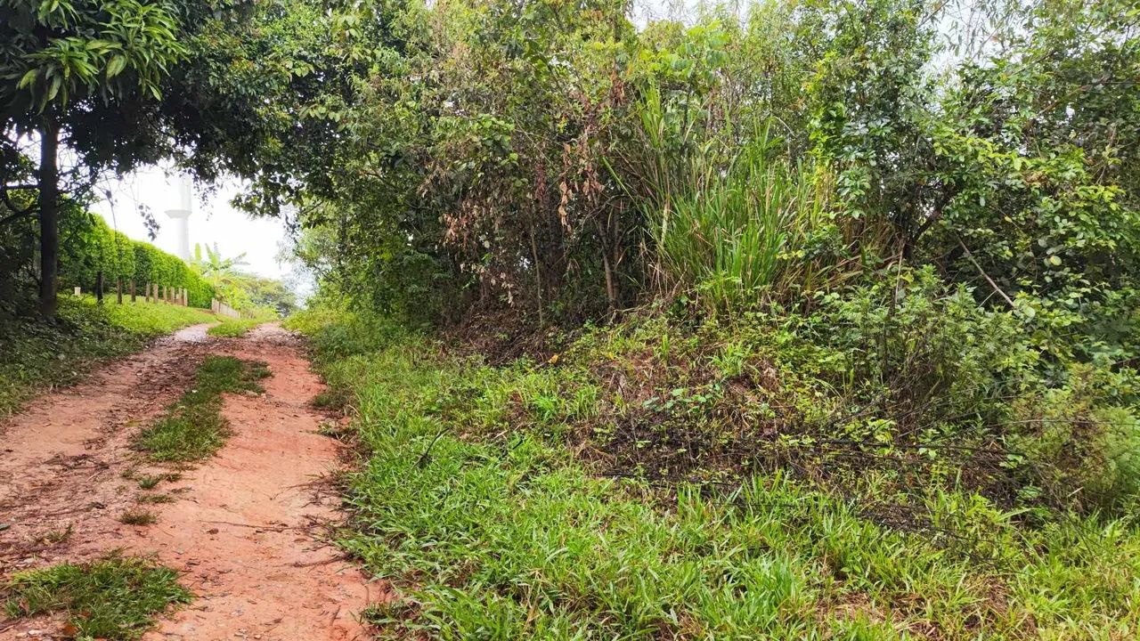 Vendo Imóvel Urbano c/ 740m2 Ótimo local - Foto 3