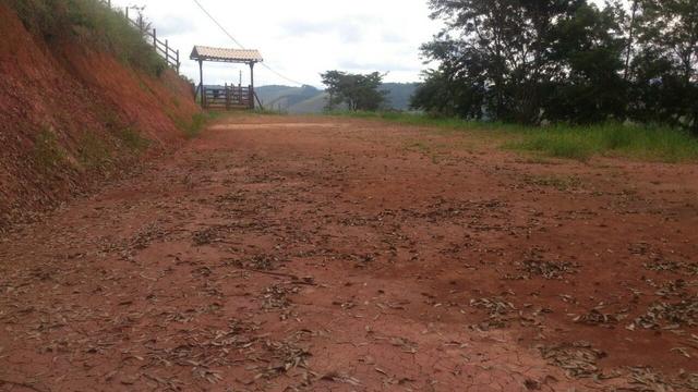 Granja em igrejinha - Foto 11