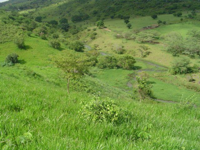 Vale Jiquiriçá-Fazenda - 800 Tarefas, analisa troca p\imóvel em Salvador - Foto 9