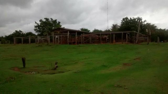 Linda Fazenda no estado de Tocantins - Foto 7