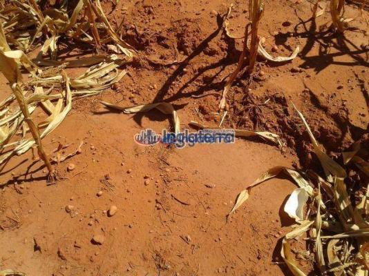 Fazenda à venda, 1817,07 alq. por r$ 36.790.000 - centro - diamantino/mt - Foto 3