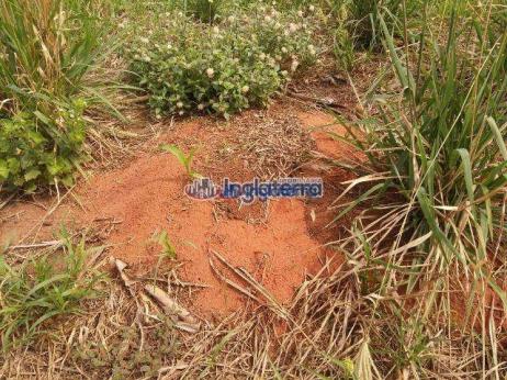 Fazenda à venda, 1817,07 alq. por r$ 36.790.000 - centro - diamantino/mt - Foto 20