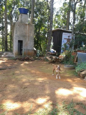 Chácara - Sítio - Mandirituba próx. Fazenda Rio Grande - Foto 12