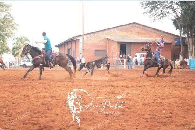 Venda ou troca - Foto 2