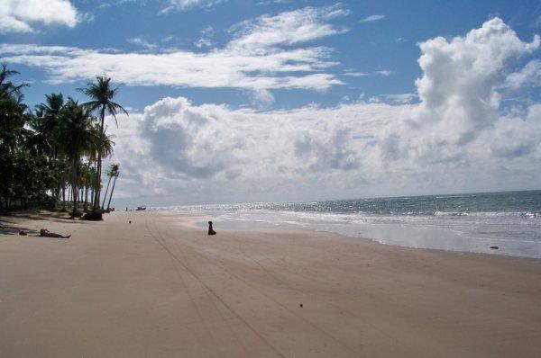 Chacara em Trancoso Rio Verde - Foto 10