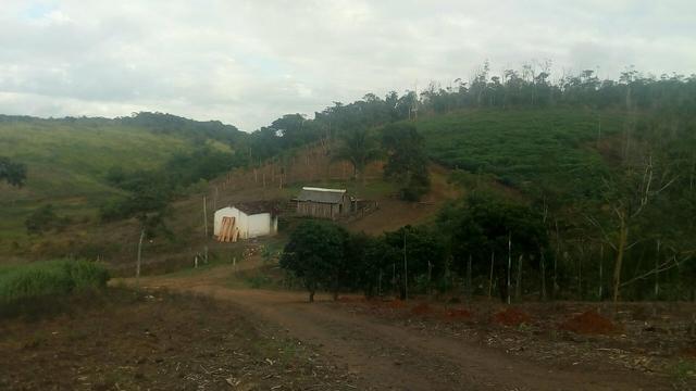 Fazenda em Jacupiranga-SP Barro Branco Vale do Ribeira - Foto 7