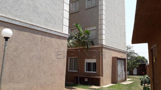 Apartamento para alugar com 2 dormitórios em Jardim santa marta, Sertaozinho cod:L6557 - Foto 4