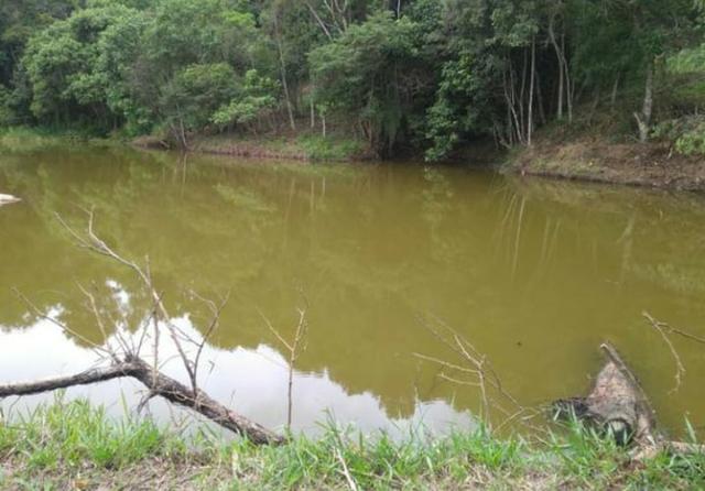 11* Meu terreno em ótima localização e fácil acesso! - Foto 2