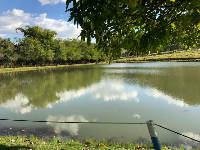 Chacará com lago (Prox.a Goianira) - Foto 12