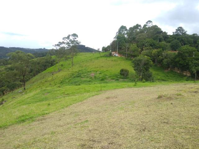 11* Meu terreno em ótima localização e fácil acesso! - Foto 4