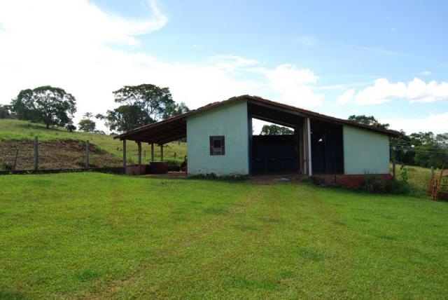 Fazenda com 12 alqueires em Terezópolis-GO - Foto 5