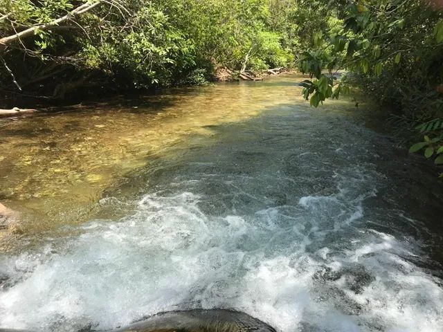 Chacara a margens do rio Paciêcia - Foto 5