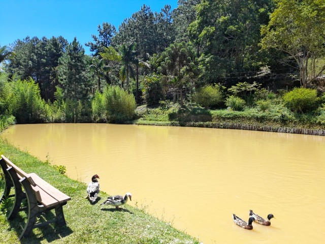 Sítio em Santa Teresa com casa de 4 quartos - 31.000M2. - excelente localização - Foto 5