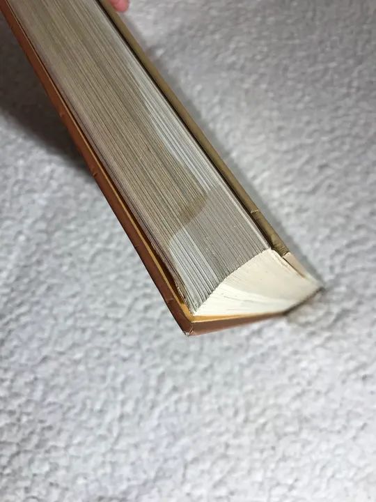 Livro Larousse Do Cão E Do Cãozinho  - Foto 6