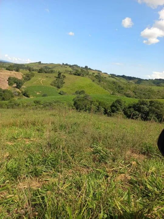 Fazenda em Candido de Abreu - Foto 4