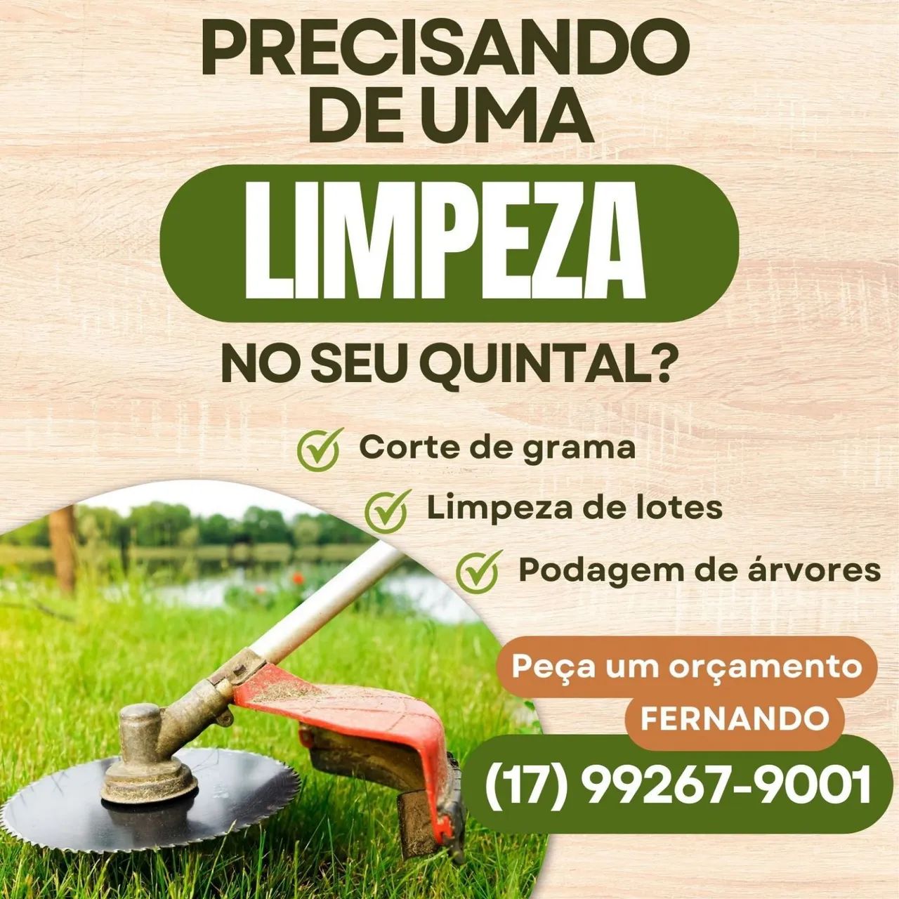 Jardinagem,podas e retirada de entulho 
