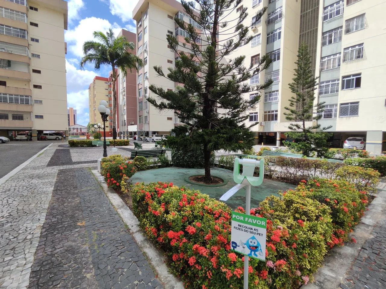 Foto - Fortaleza - Benfica