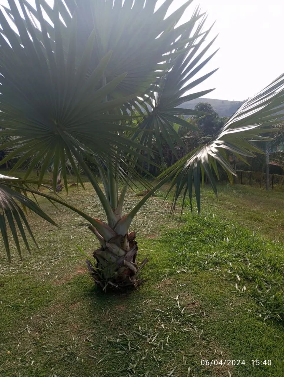 Vendo terreno em macacos 2.500 M2. - Foto 5