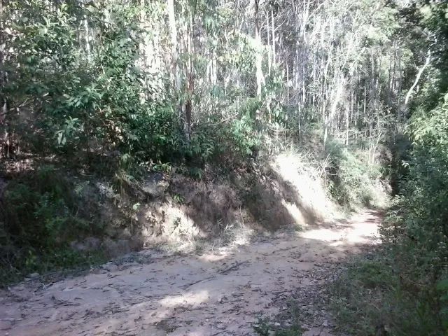 Oportunidade. Excelente Sítio em Nova Friburgo Ótima Área de Terreno - Foto 9