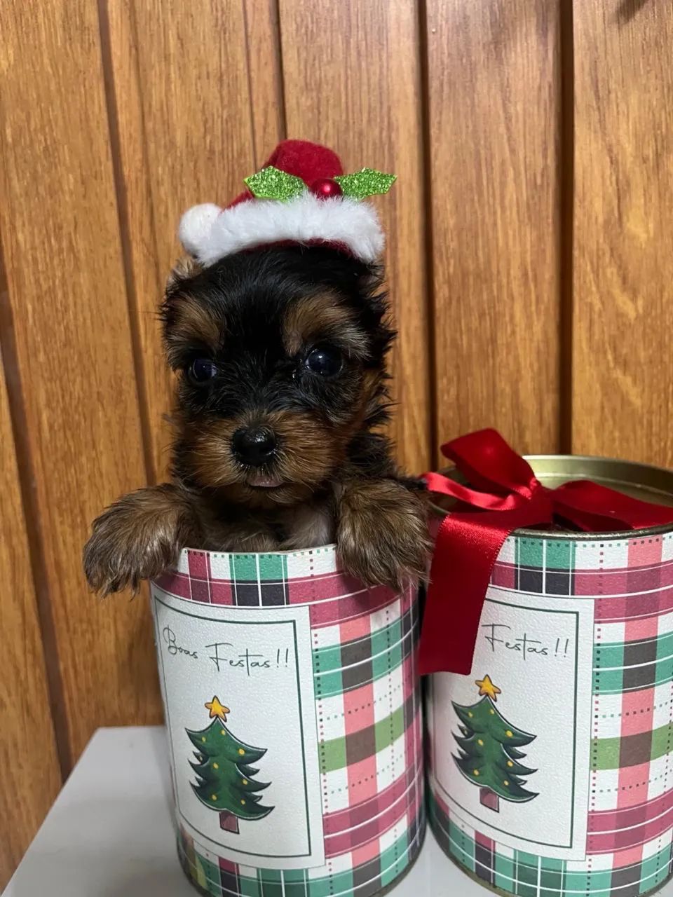 Yorkshire mine - Foto 3