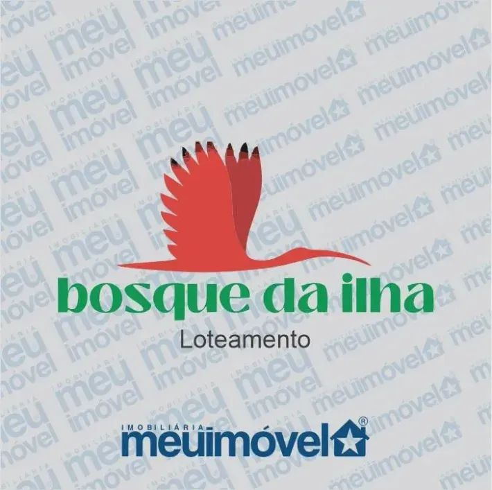 CV 06  LOTEAMENTO BOSQUE DA ILHA - Foto 3
