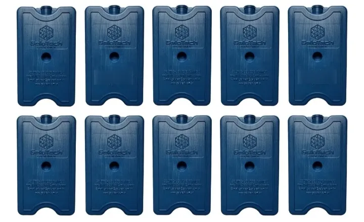 Placas de gelo artificial 400 miligrama kit 10 placas