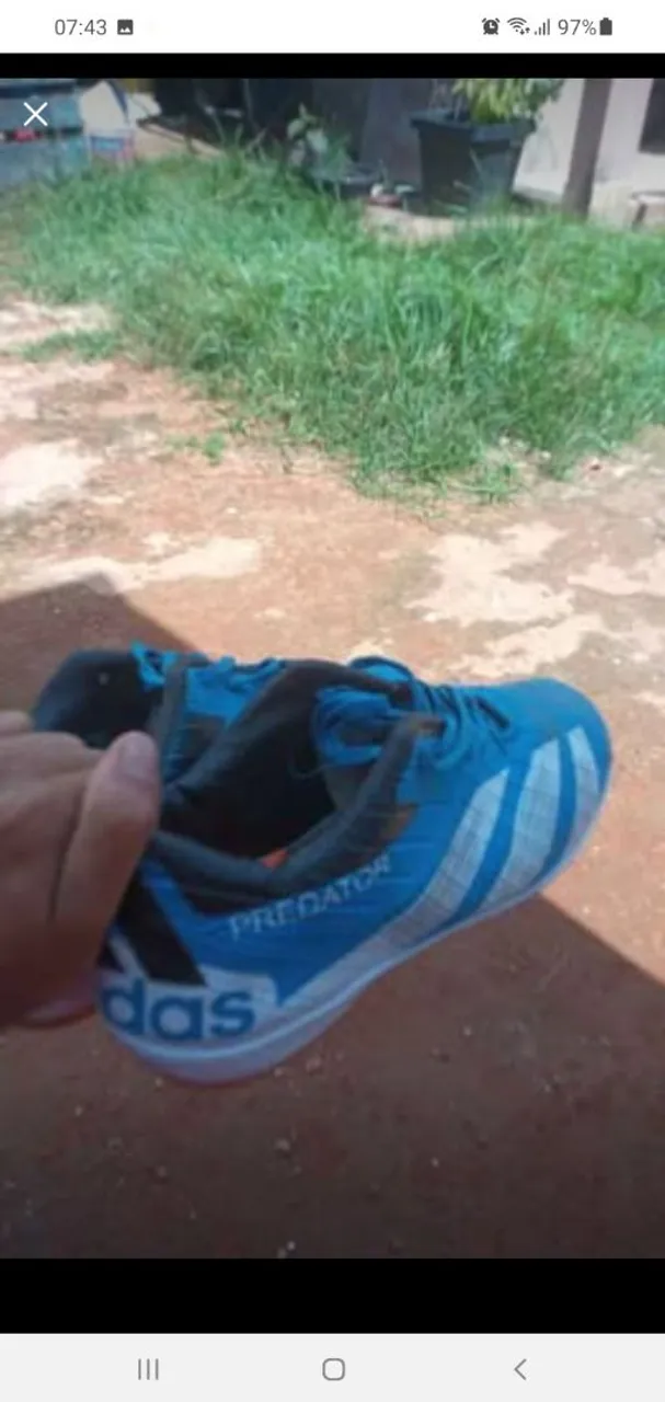 Chuteira Adidas Predator