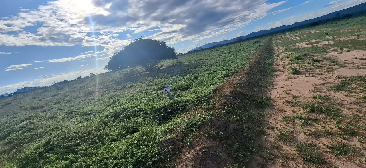 Terreno em itatim
