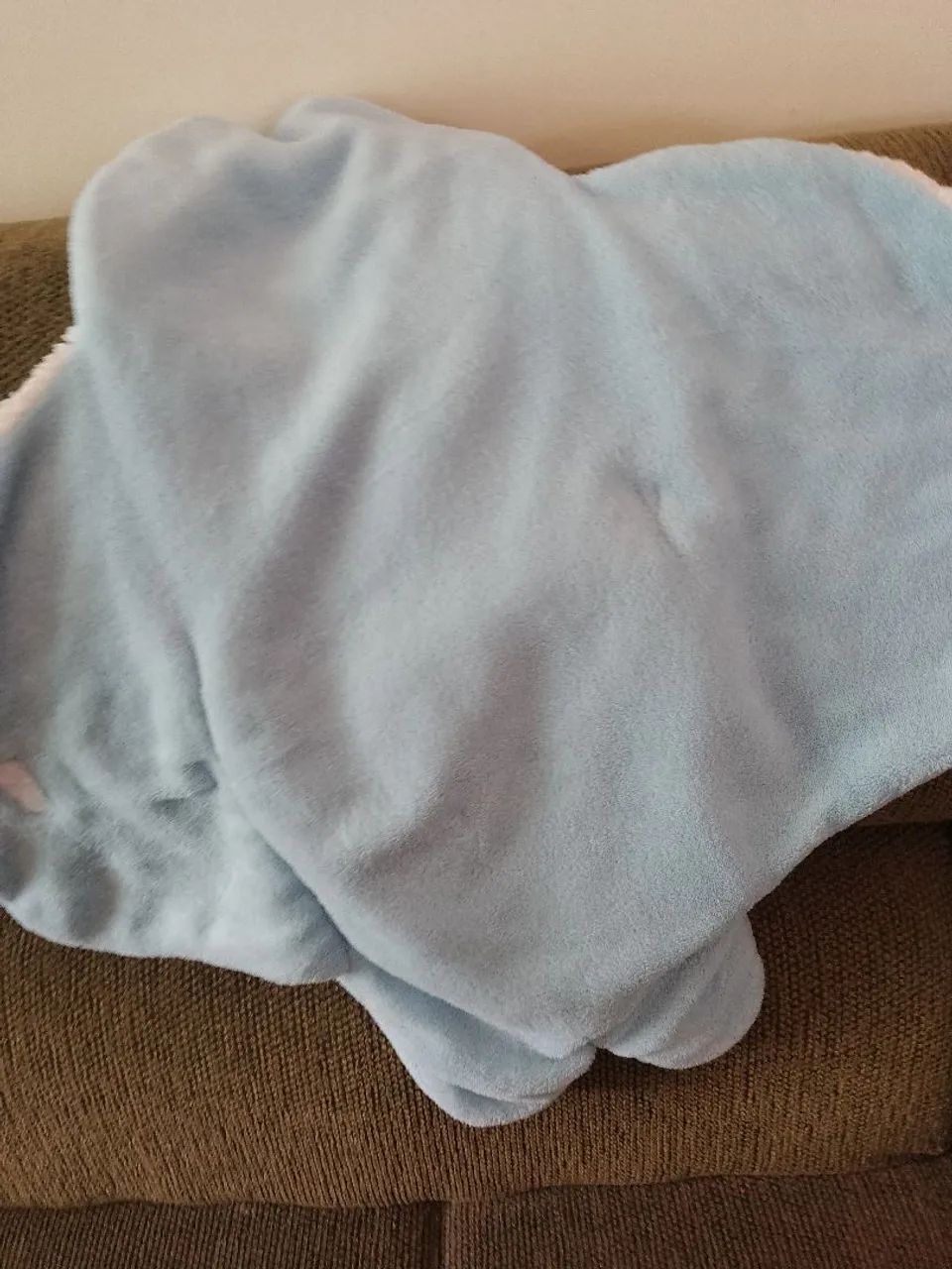 Manta - Foto 2