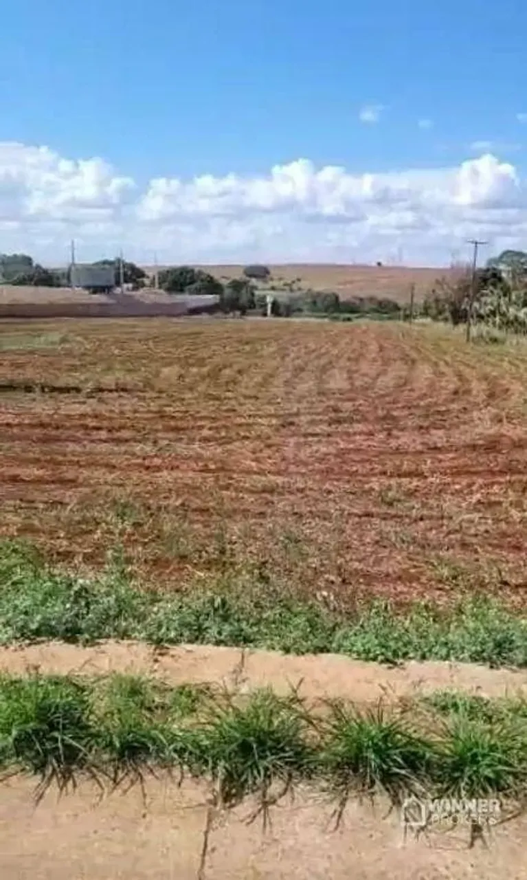 Terreno, 10000 m² - venda por R$ 10.000.000,00 ou aluguel por R$ 20.000,00/mês - Br-376 -