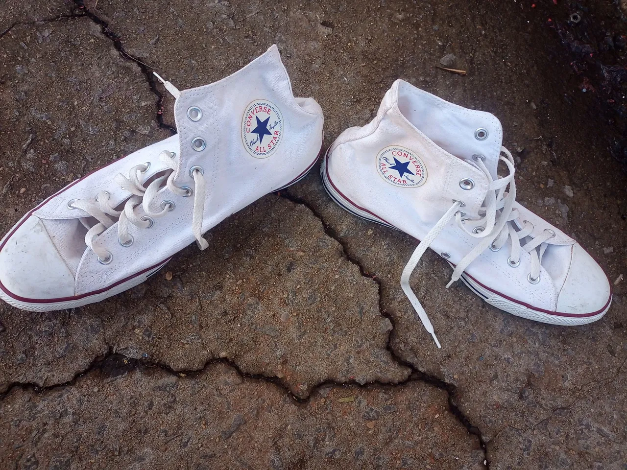 Converse All star #43