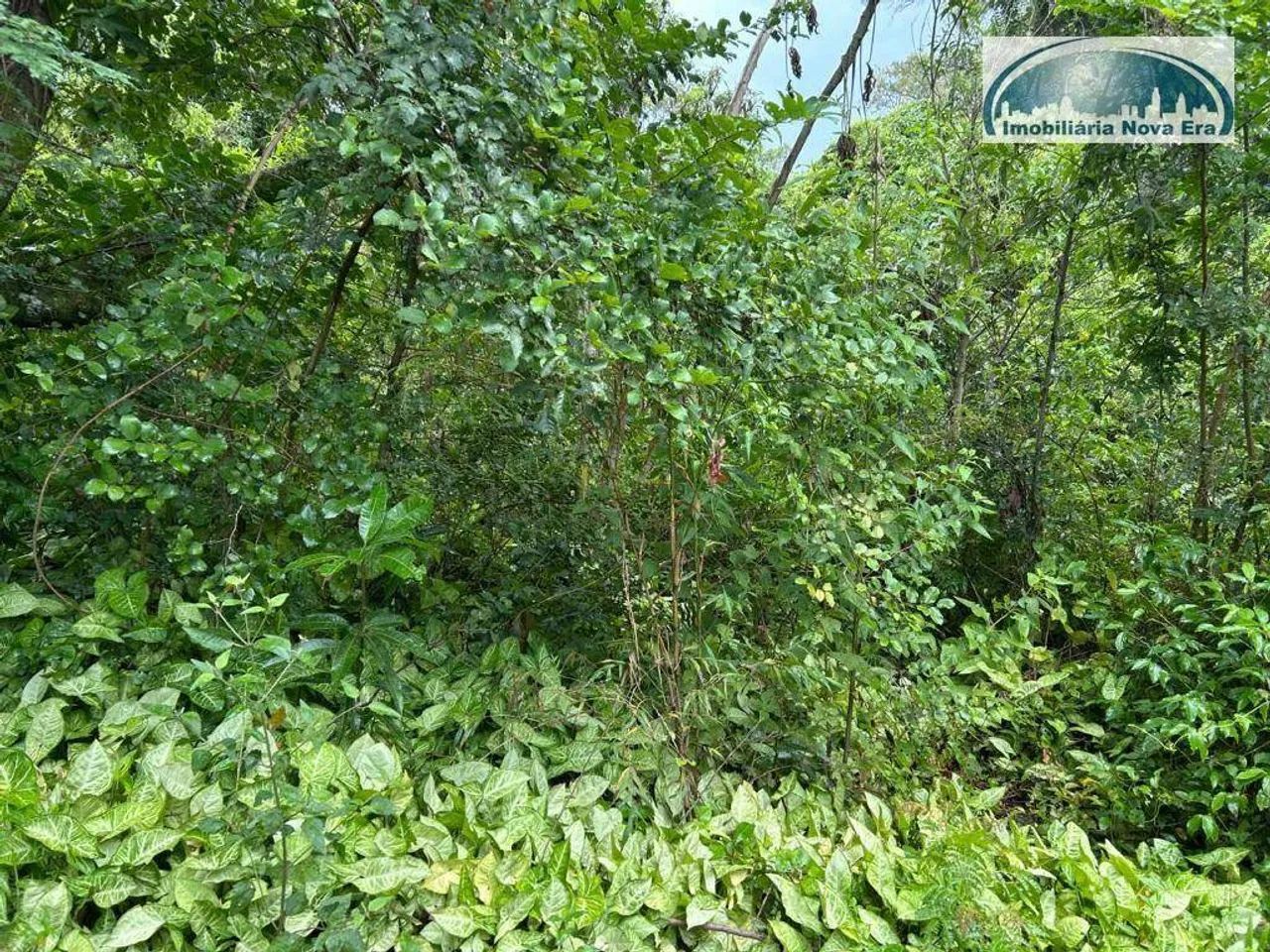 Chácara à venda, 5000 m² por R$ 4.000.000,00 - Monte Alegre - Vinhedo/SP - Foto 5