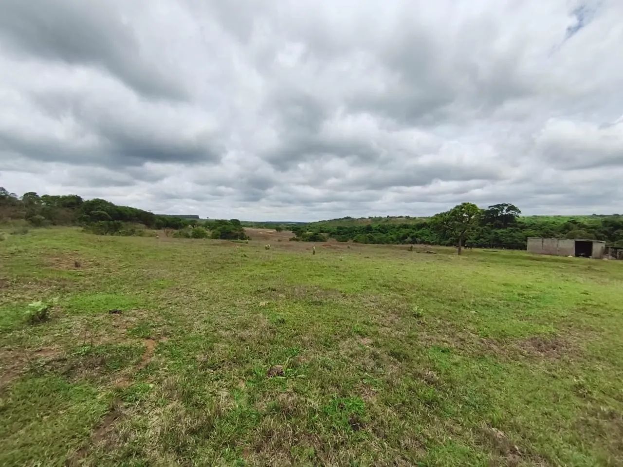 Fazenda com cana próximo Uberlândia 