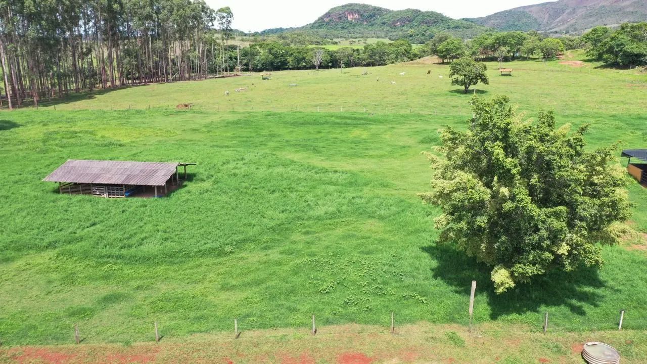 Fazenda modelo 165 Alqueires! - Foto 4