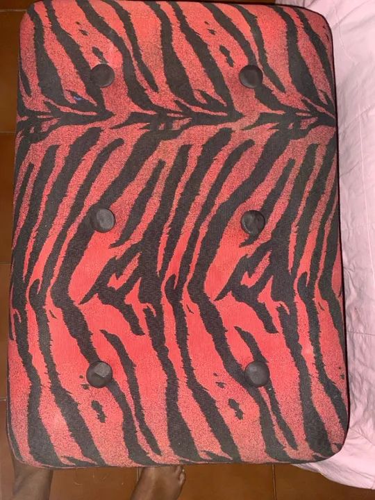 Puff Zebra Baú  - Estampa Animal