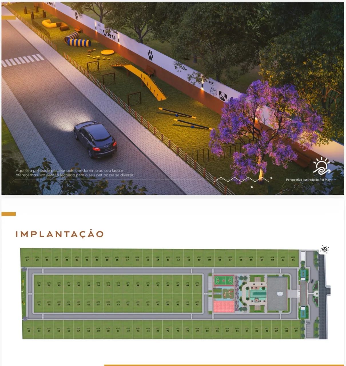 Foto - Aracaju - Aruana