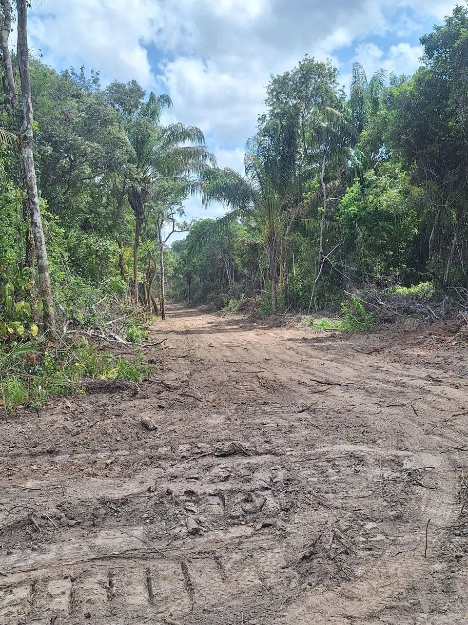 Vendo chácaras  - Foto 2