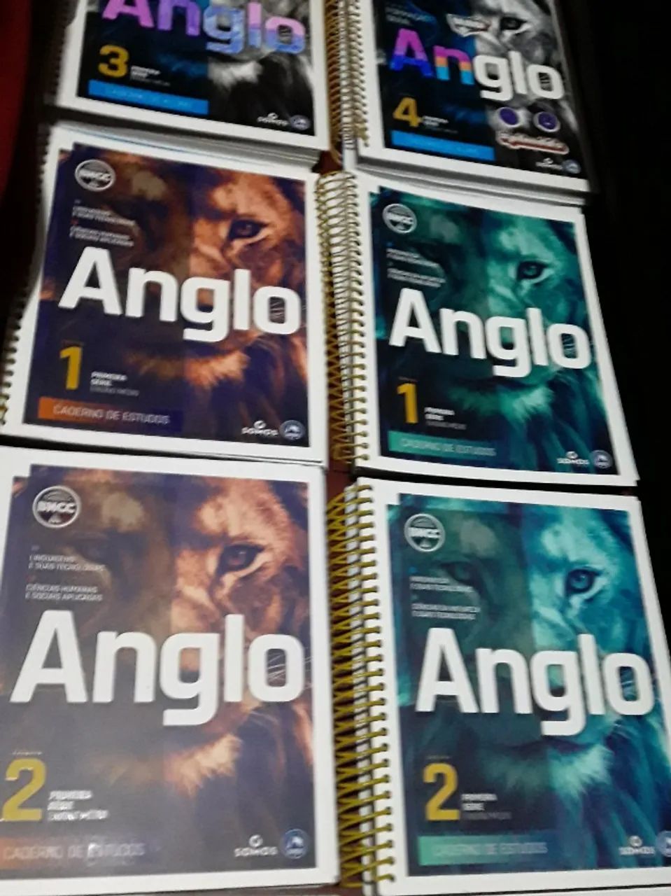 Anglo Caderno De Estudo, E Do Aluno 1° Série Do Ensino Médio - 12 Volumes - Ano 2021 - Foto 4
