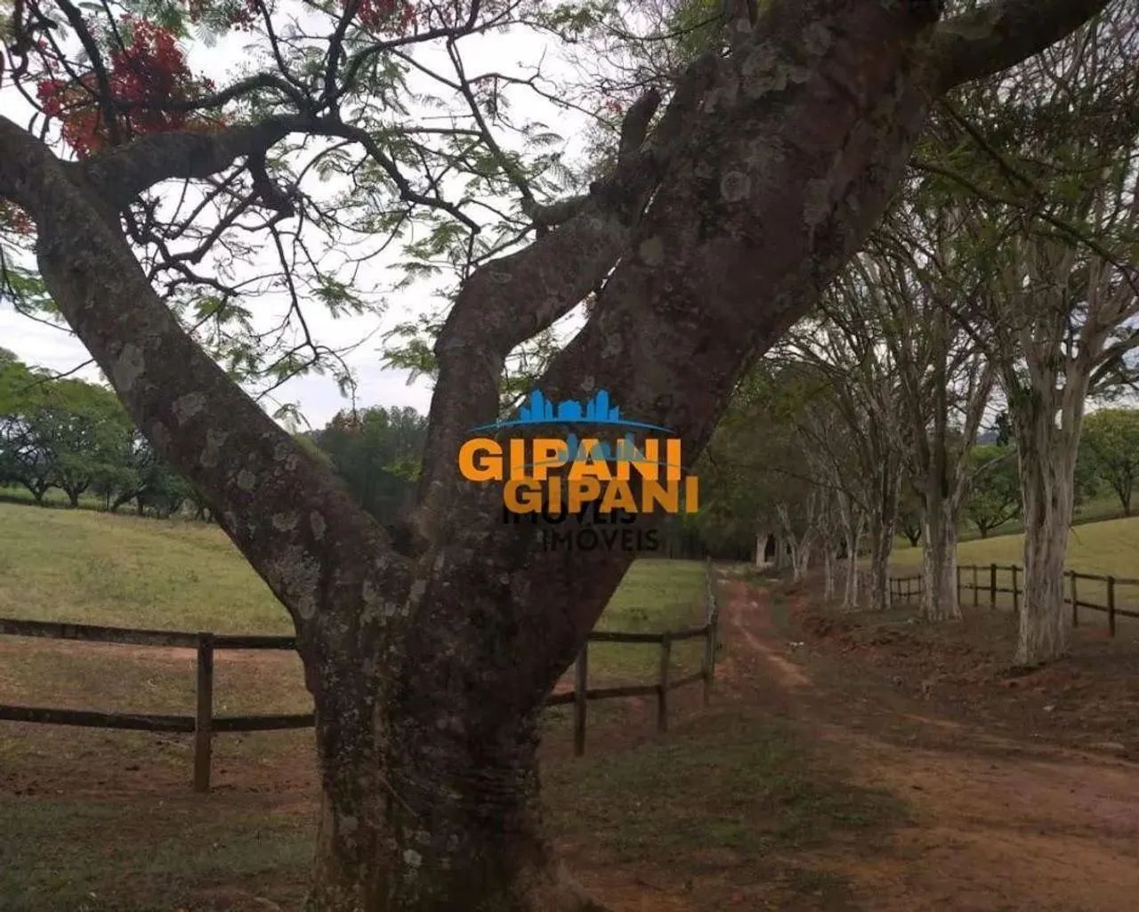 Haras Rural à venda, , - HA0001. - Foto 5