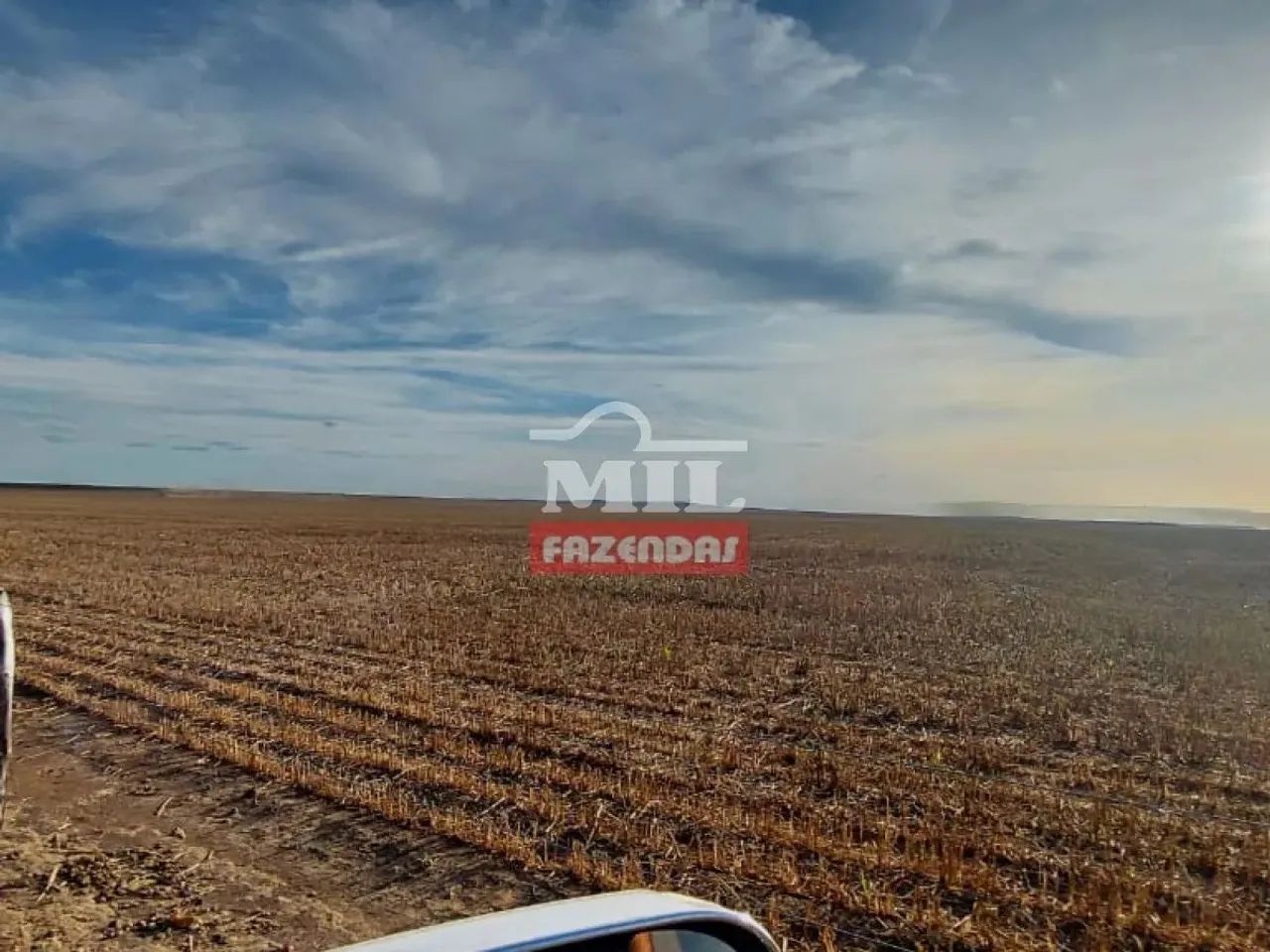 Fazenda 13.604 Hectares Benedito Leite - MA