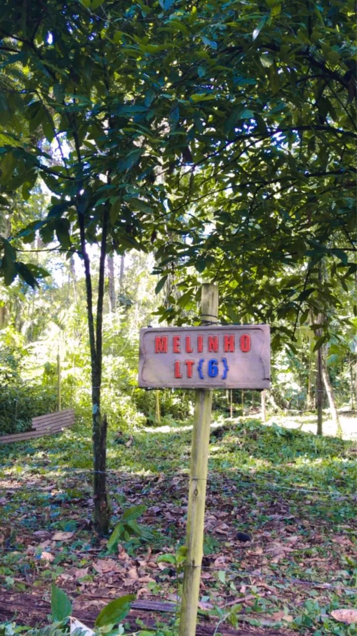 Foto - Campinas - Jardim Boa Esperança