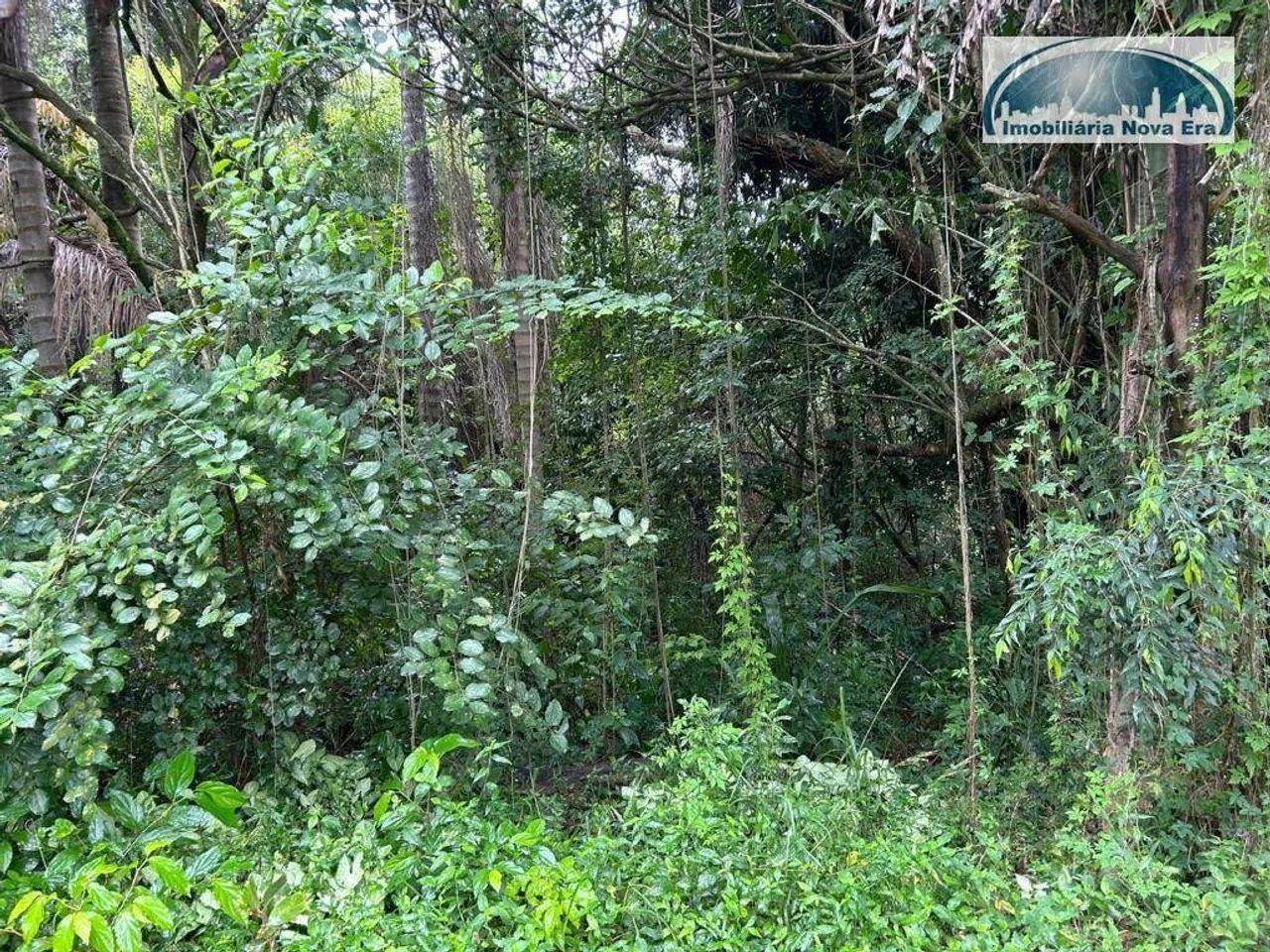 Chácara à venda, 5000 m² por R$ 4.000.000,00 - Monte Alegre - Vinhedo/SP - Foto 8