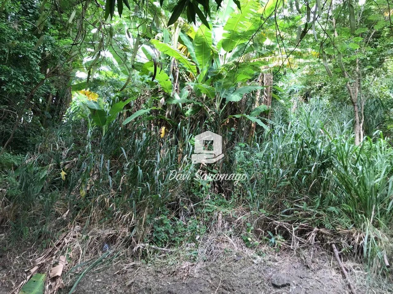 Terreno de 768m² à Venda em Piratininga - Foto 5