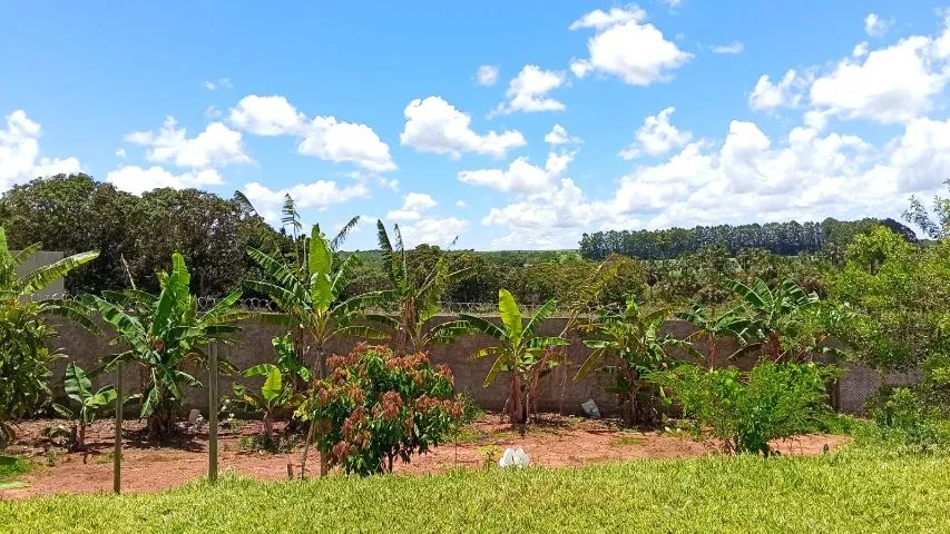 CHÁCARA A VENDA - Foto 5
