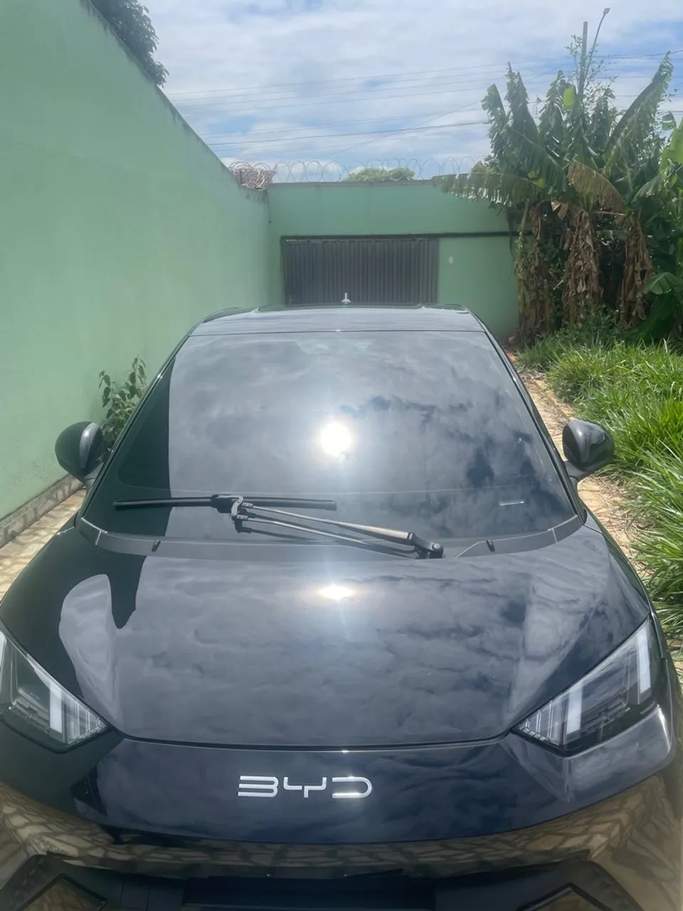 Aluguel byd Dolphin mini