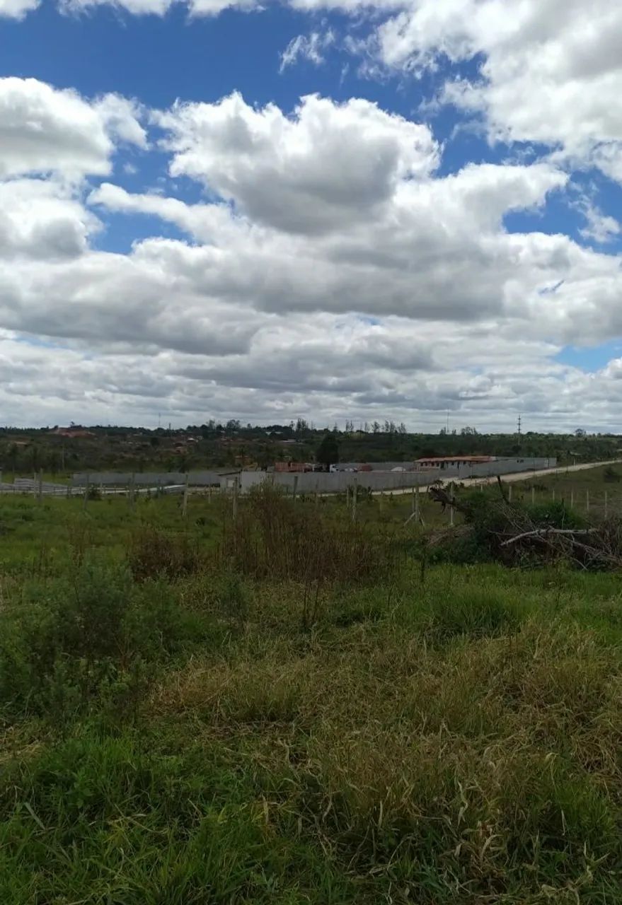 Vendo lote Alagoinhas - Ba - Foto 4