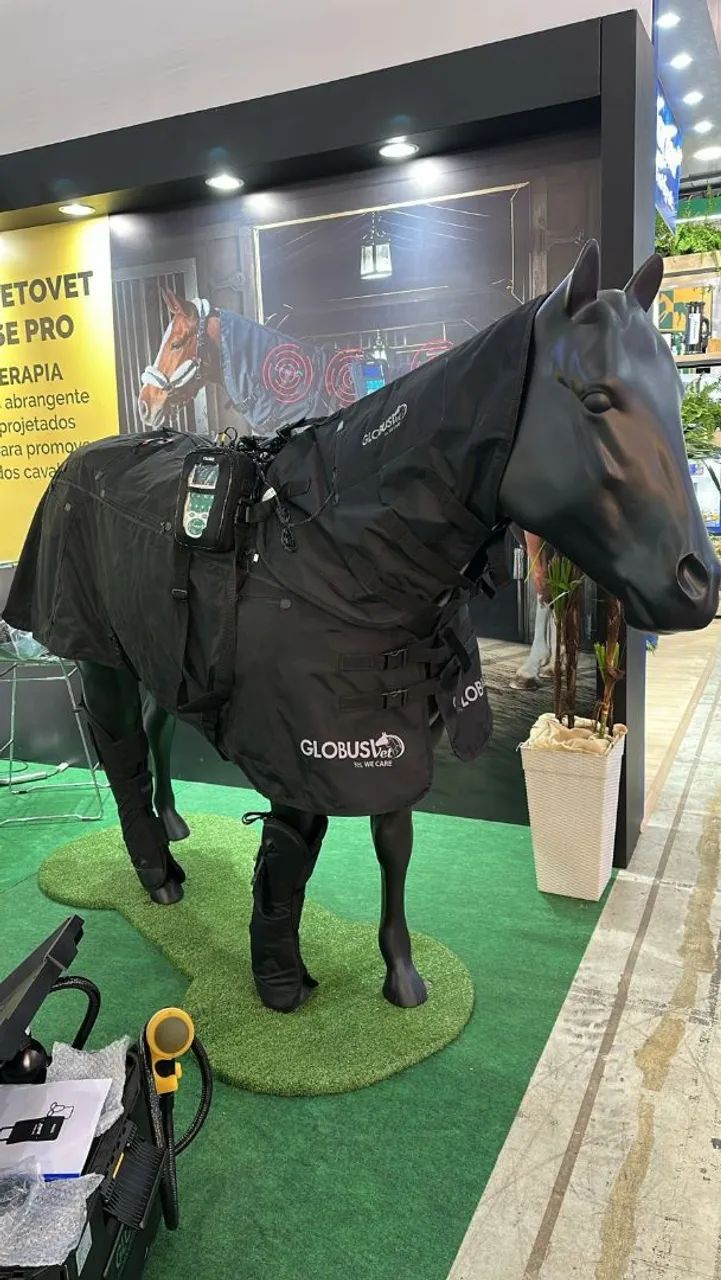 *ESCULTURA CAVALO MANGA LARGA* - Foto 6