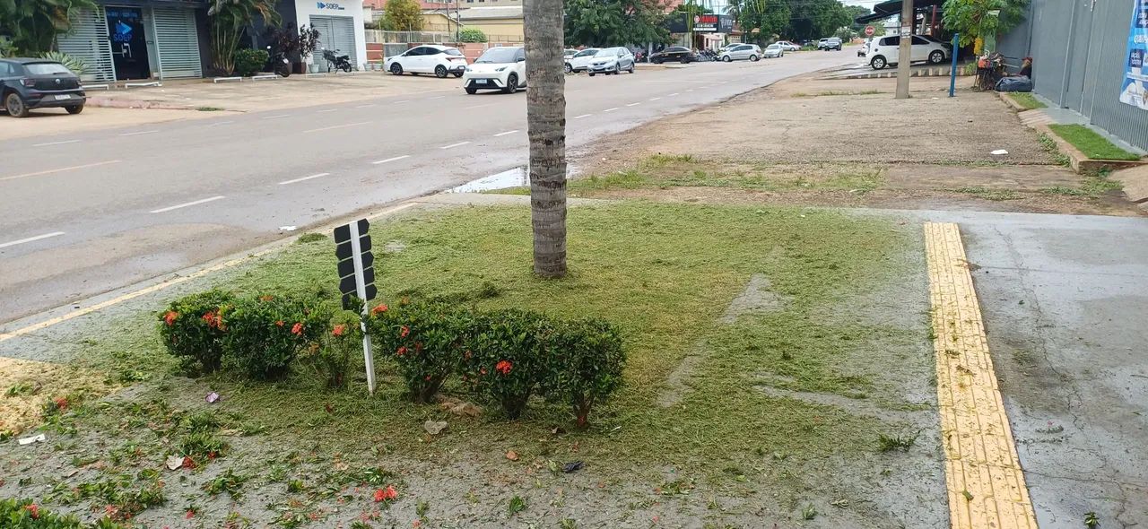 Jardinagem em geral  - Foto 3
